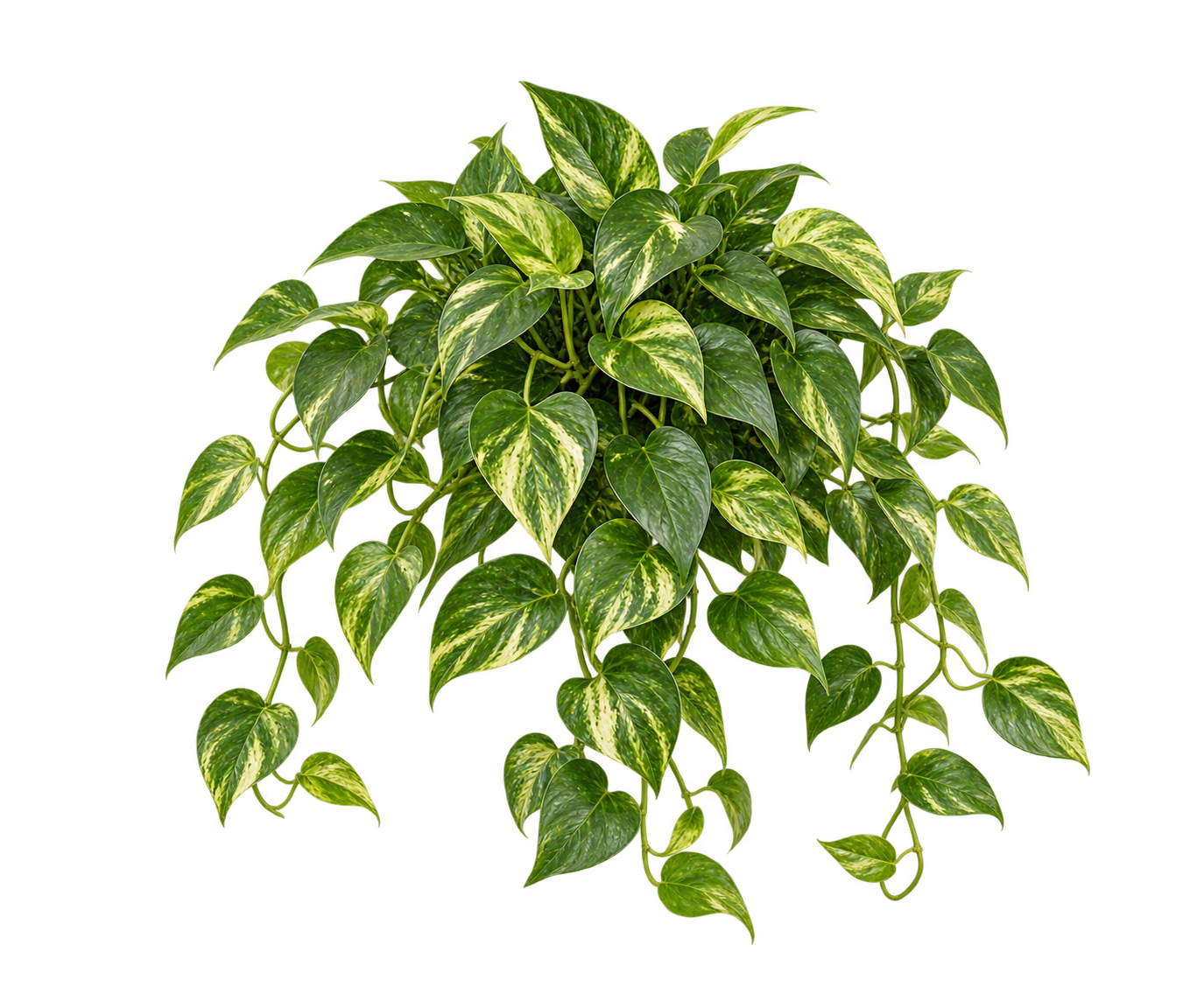 Kunstplanten