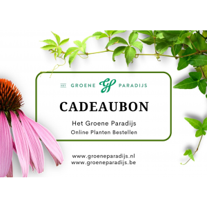 Cadeaubon