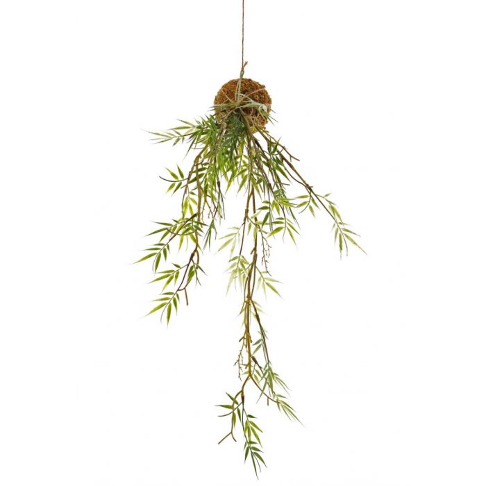 Bamboehanger 'Green Wave' ↕ 60cm
